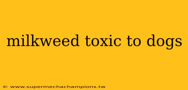 milkweed toxic to dogs
