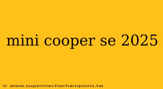 mini cooper se 2025