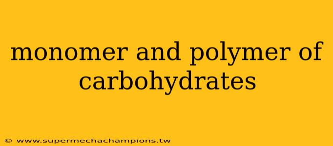 monomer and polymer of carbohydrates