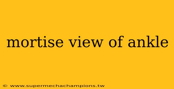 mortise view of ankle