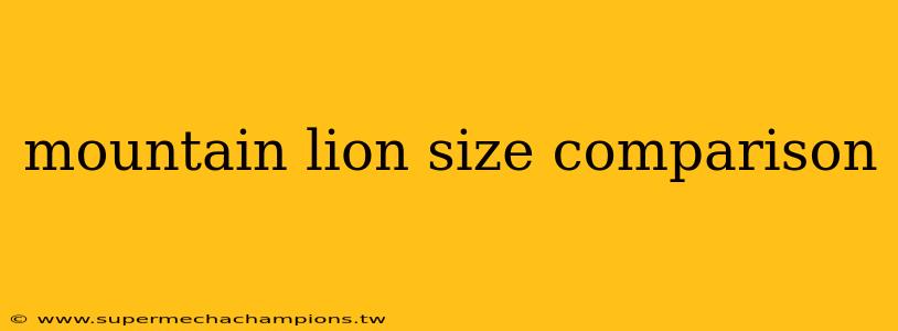 mountain lion size comparison