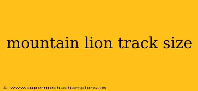 mountain lion track size