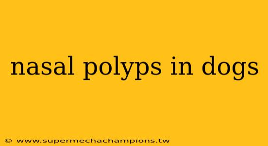 nasal polyps in dogs