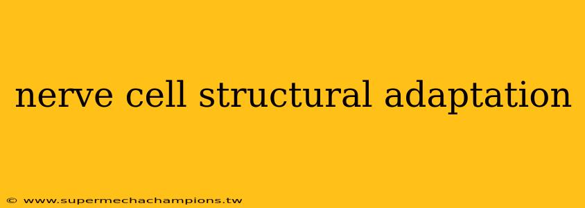 nerve cell structural adaptation