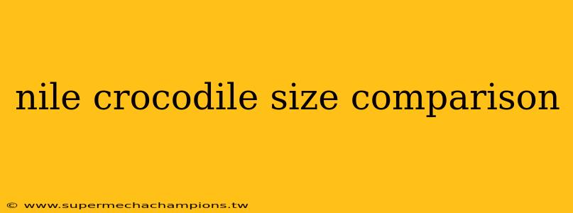 nile crocodile size comparison