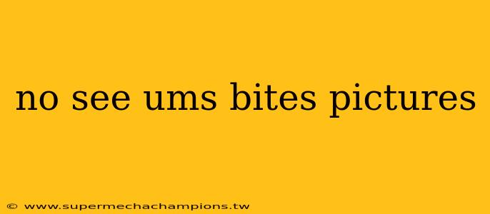 no see ums bites pictures