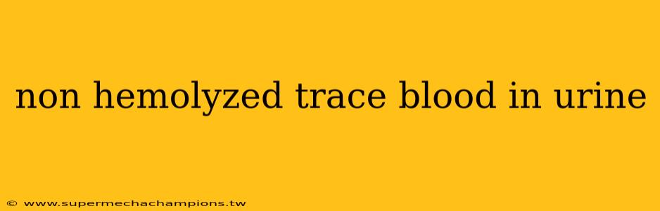 non hemolyzed trace blood in urine