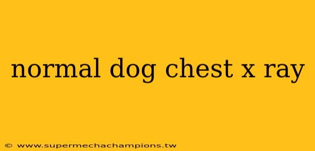 normal dog chest x ray