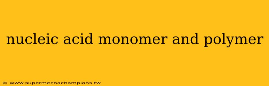 nucleic acid monomer and polymer