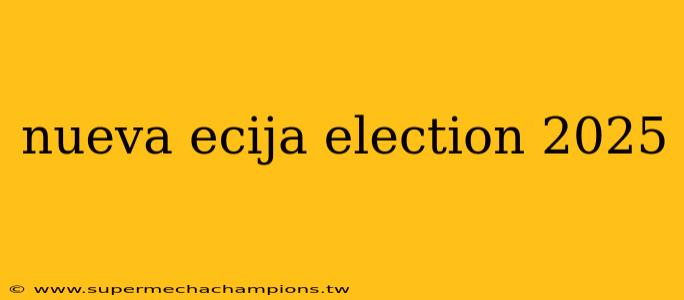 nueva ecija election 2025