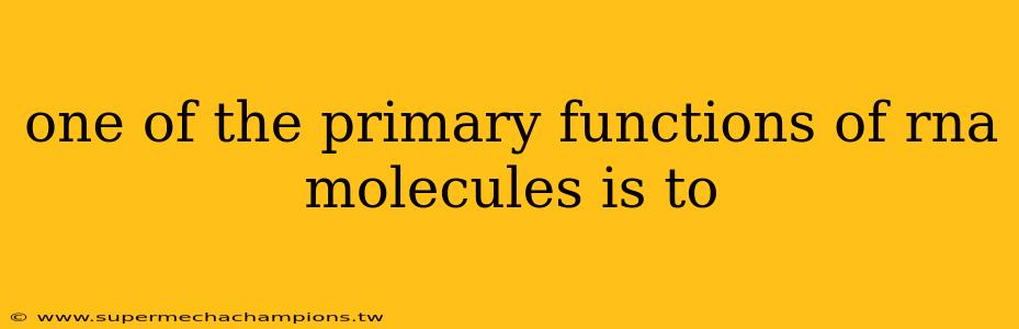 one of the primary functions of rna molecules is to