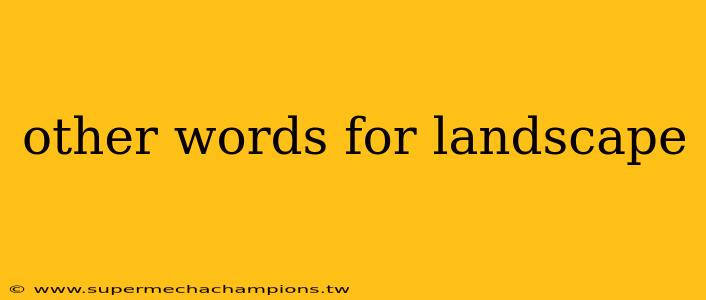 other words for landscape