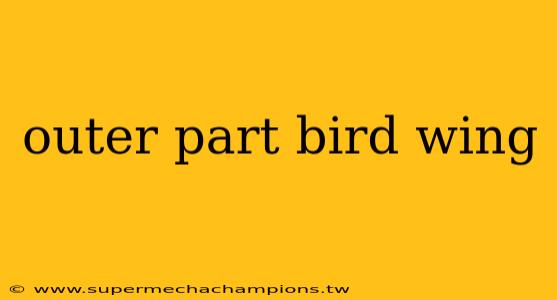 outer part bird wing
