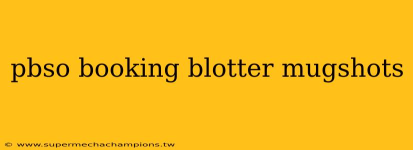 pbso booking blotter mugshots