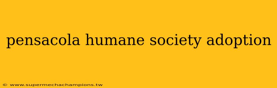 pensacola humane society adoption
