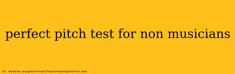 perfect pitch test for non musicians