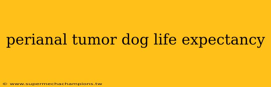 perianal tumor dog life expectancy