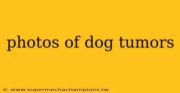 photos of dog tumors