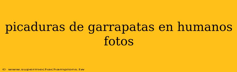 picaduras de garrapatas en humanos fotos