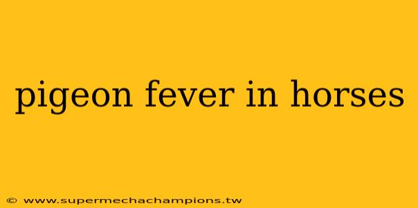 pigeon fever in horses