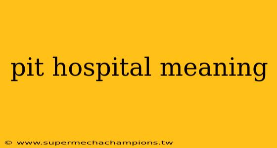 pit hospital meaning