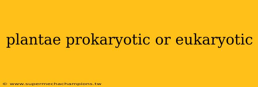 plantae prokaryotic or eukaryotic