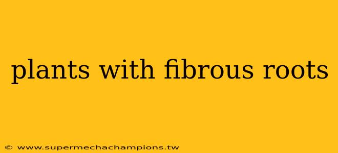 plants with fibrous roots