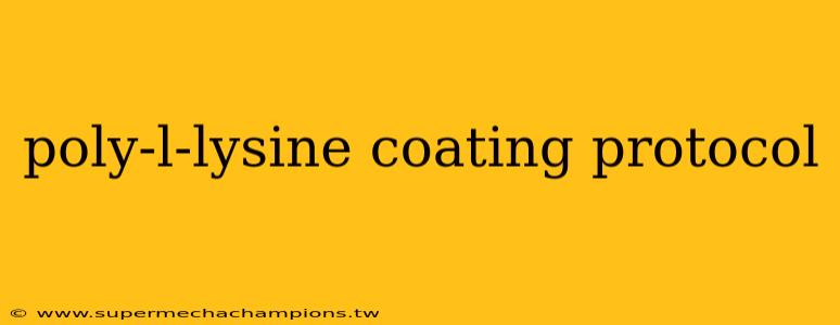 poly-l-lysine coating protocol