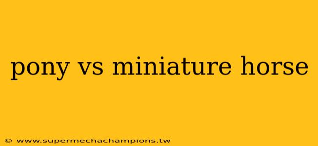 pony vs miniature horse