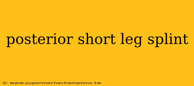 posterior short leg splint