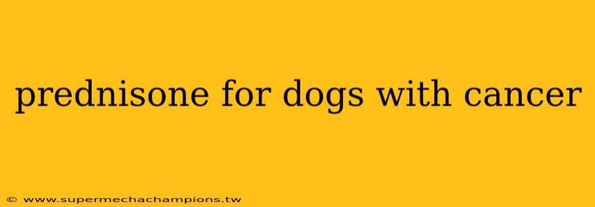prednisone for dogs with cancer
