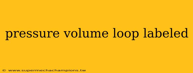 pressure volume loop labeled