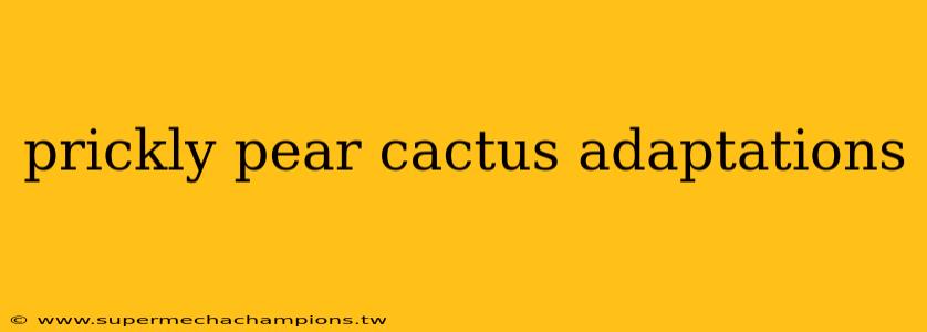 prickly pear cactus adaptations