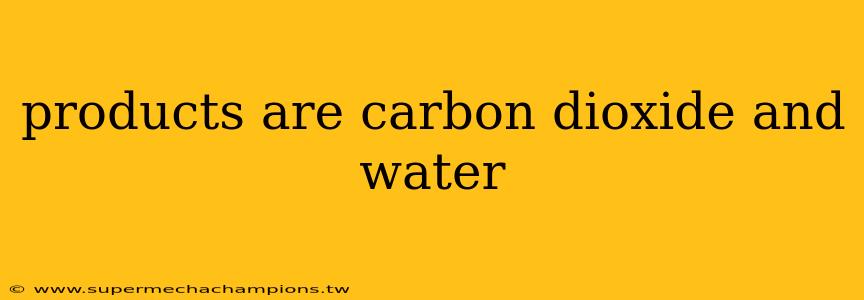 products are carbon dioxide and water