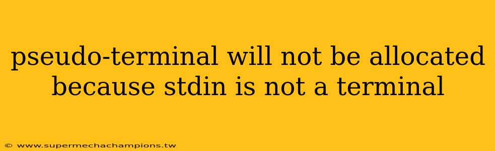 pseudo-terminal will not be allocated because stdin is not a terminal