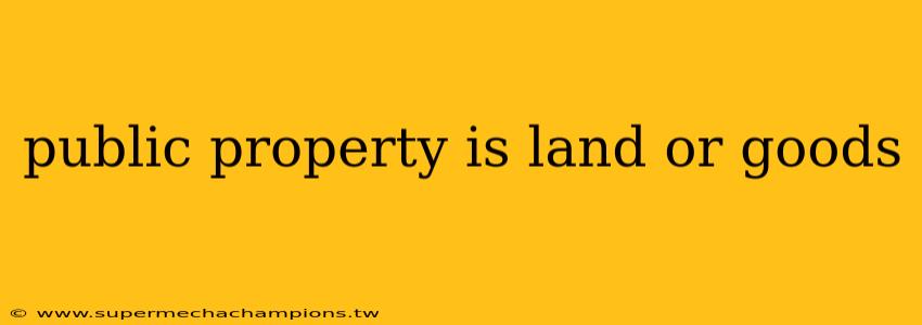 public property is land or goods