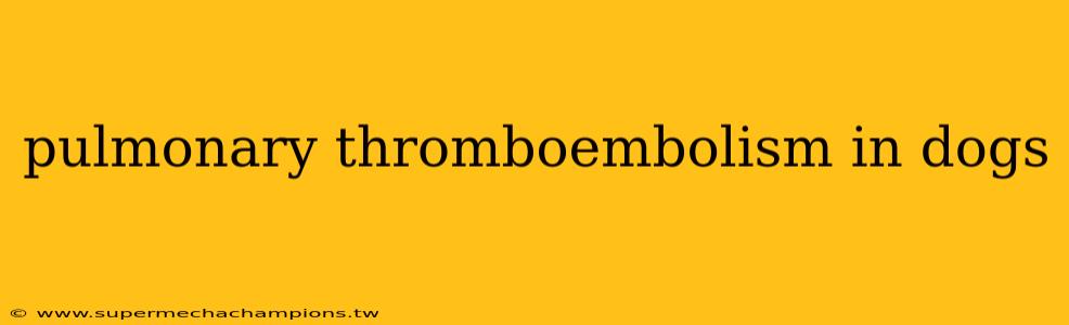 pulmonary thromboembolism in dogs