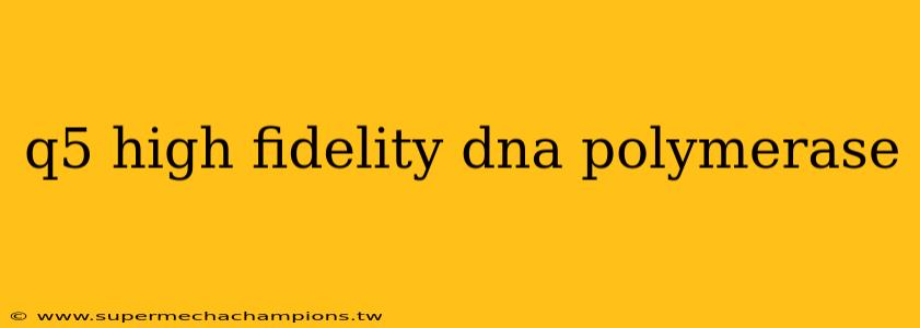 q5 high fidelity dna polymerase