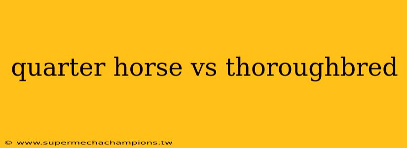 quarter horse vs thoroughbred