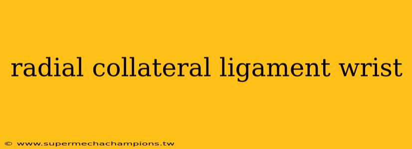 radial collateral ligament wrist