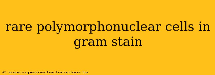 rare polymorphonuclear cells in gram stain