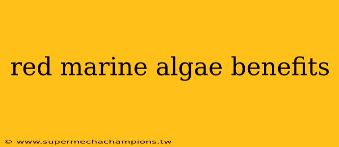 red marine algae benefits