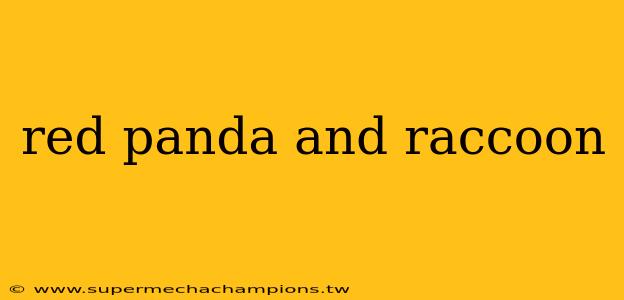 red panda and raccoon
