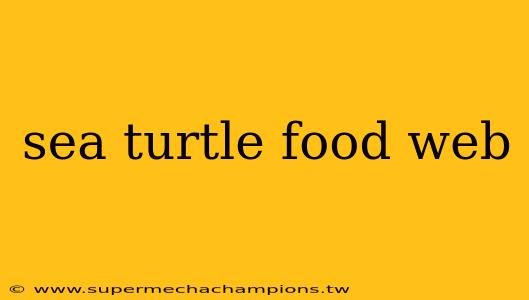 sea turtle food web