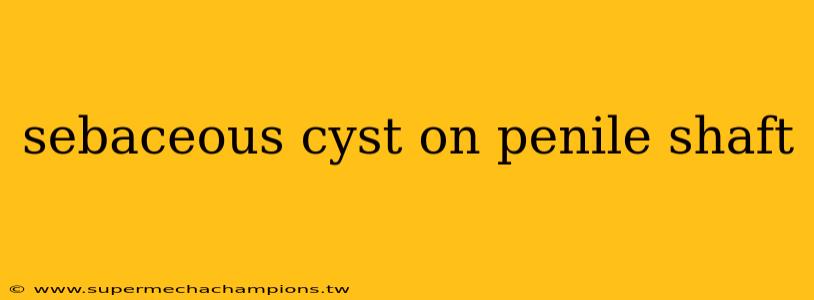 sebaceous cyst on penile shaft