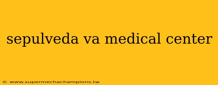 sepulveda va medical center