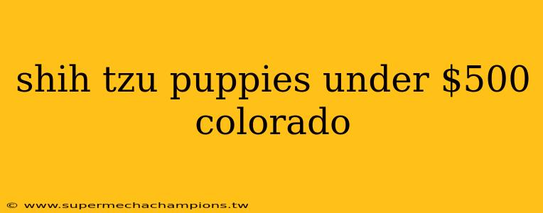 shih tzu puppies under $500 colorado