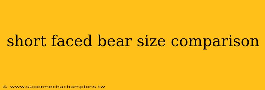 short faced bear size comparison