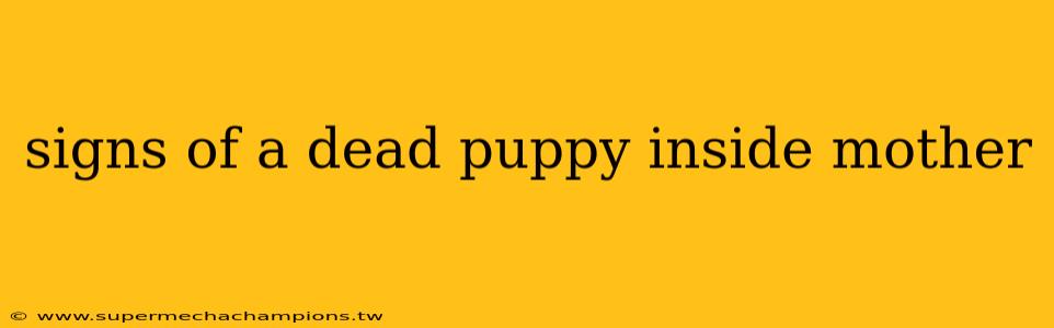 signs of a dead puppy inside mother