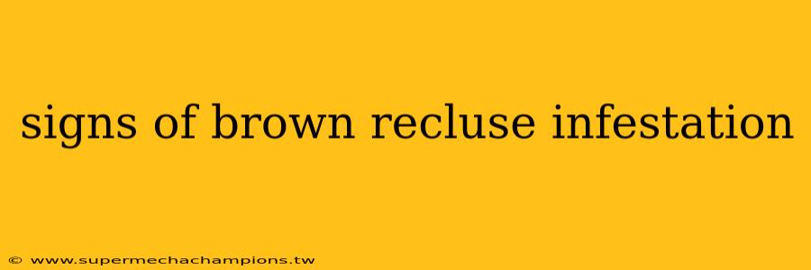 signs of brown recluse infestation